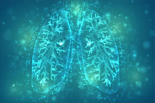 Illustration of the lungs.